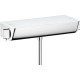 Termostato de ducha visto Ecostat Select - HANSGROHE