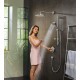 Ducha de mano RAINDANCE SELECT S 120 3jet P - HANSGROHE