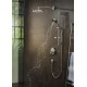 Ducha de mano RAINDANCE SELECT S 120 3jet P - HANSGROHE