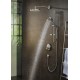 Ducha de mano RAINDANCE SELECT S 120 3jet P - HANSGROHE