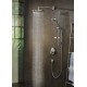 Ducha de mano RAINDANCE SELECT S 120 3jet P - HANSGROHE